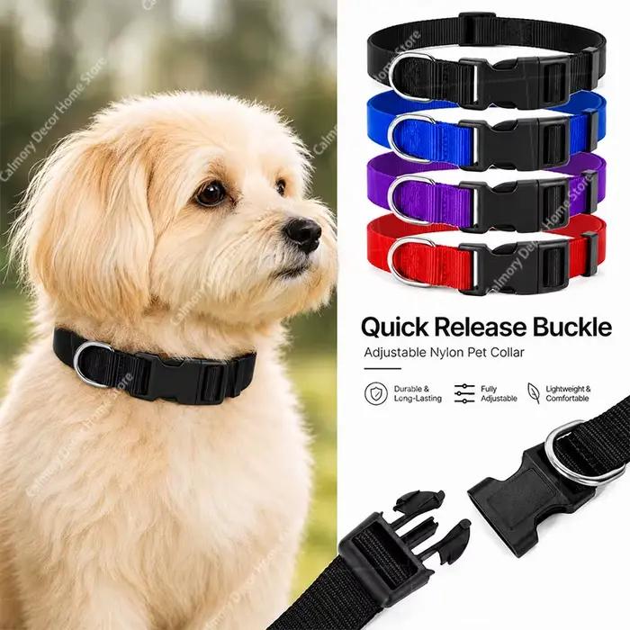 Collier réglable pour chien