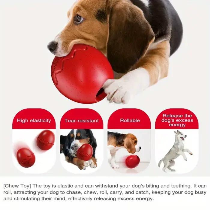 Distributeur interactif de jouets pour chien
