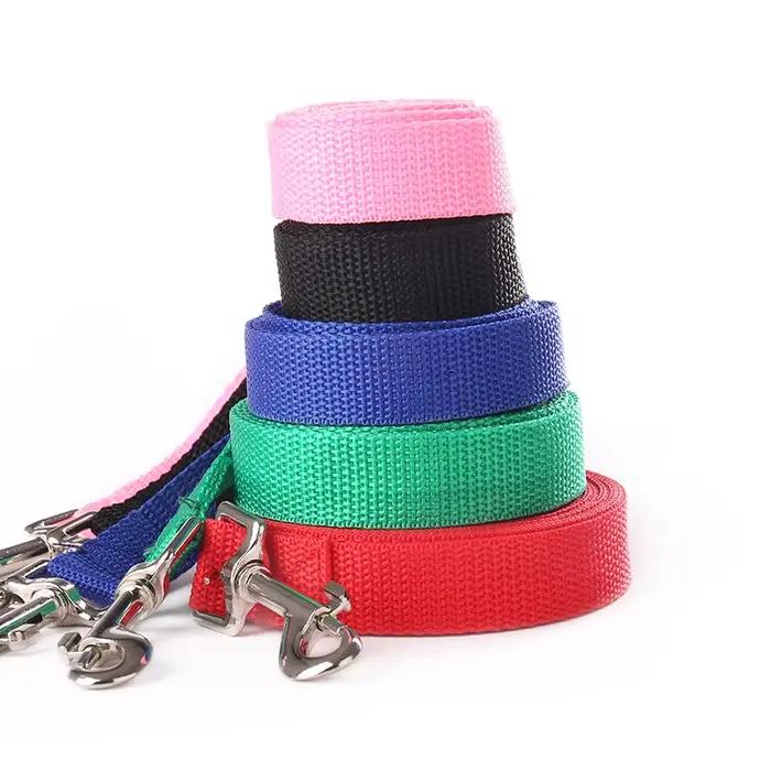 Laisse de randonnée pour chien de compagnie