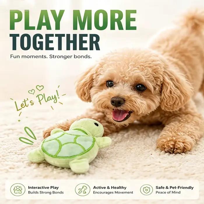 Mini jouet en peluche tortue couineuse pour chien
