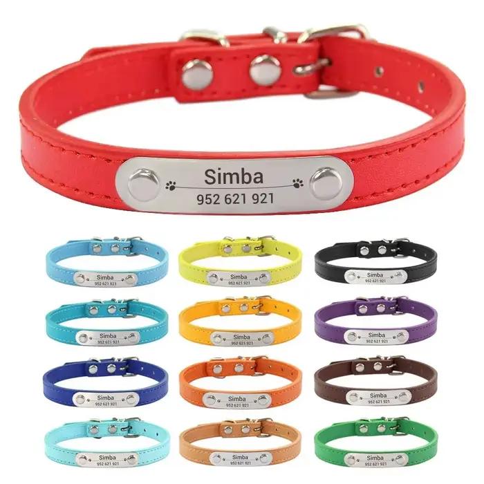 Collier de chien personnalisé avec nom sculpté