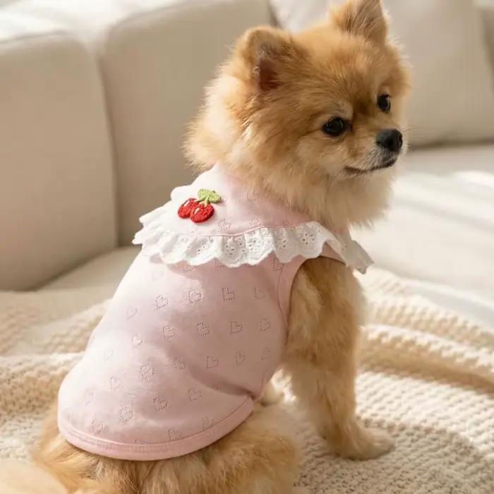 Gilet en dentelle pour chien à col volanté