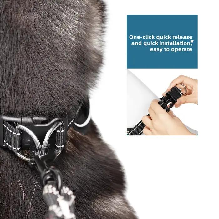 Collier d'entraînement anti-choc pour chien avec barbelures