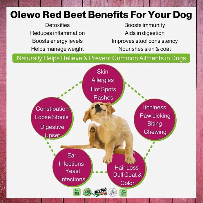Olewo-Complément alimentaire déshydraté pour chiens