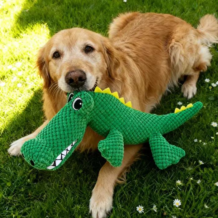Jouet interactif en peluche résistant à la mastication pour animaux de compagnie avec son
