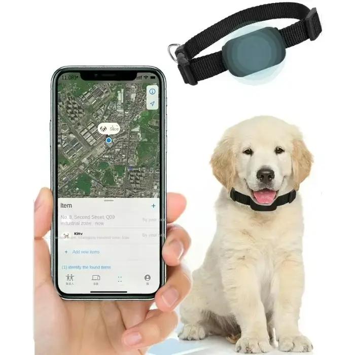 Mini chien Gps étanche