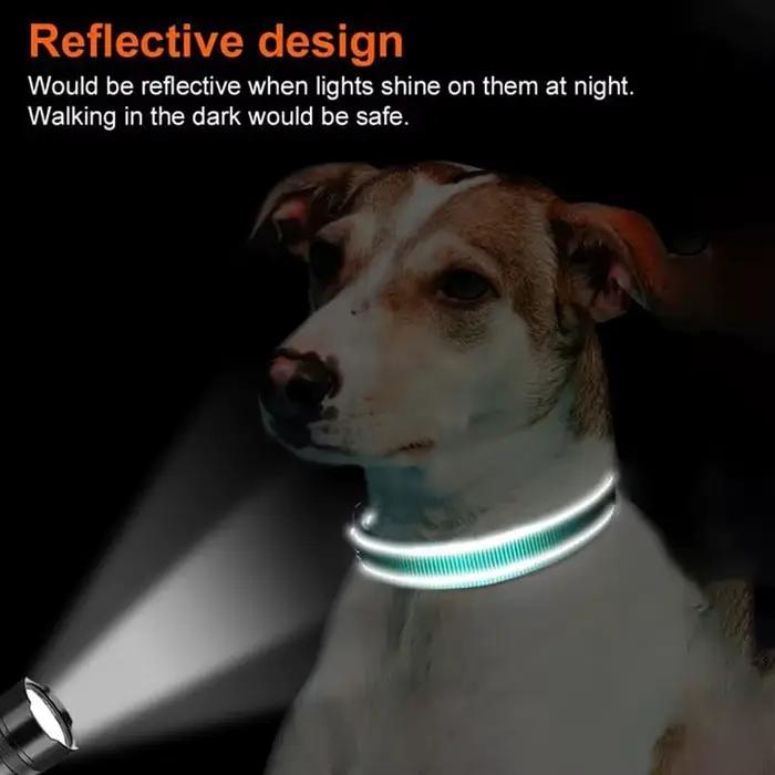 Collier réfléchissant pour chien
