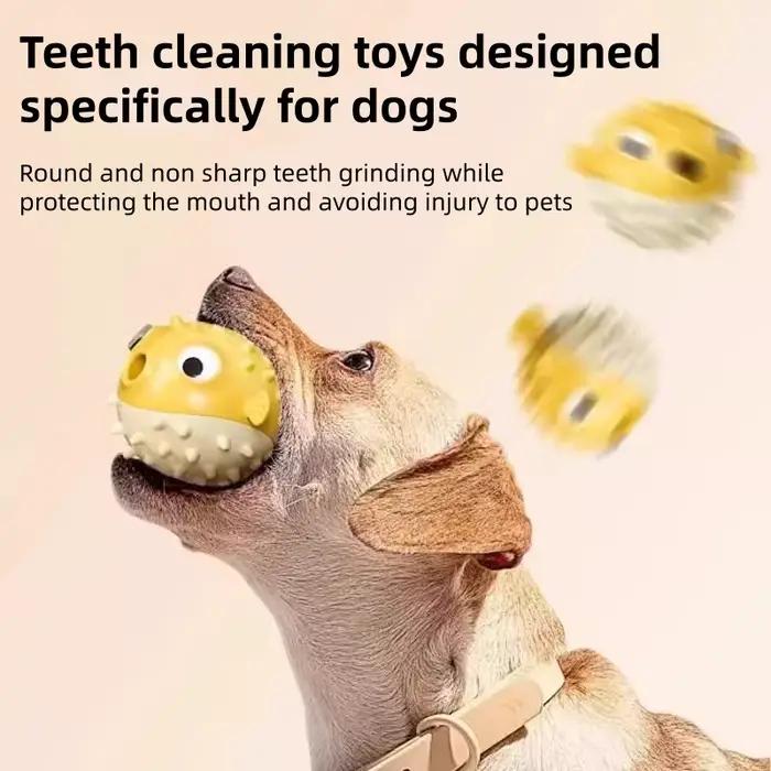 Jouet pour chien sonore et rebondissant