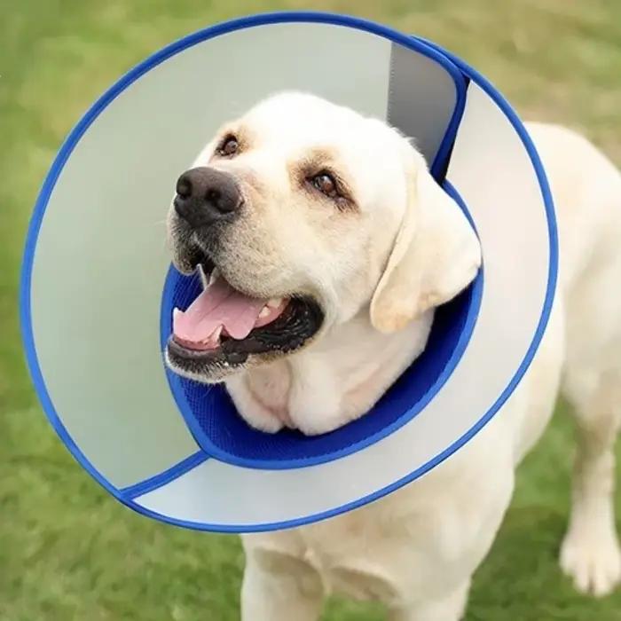 Collier élisabéthain respirant pour chien