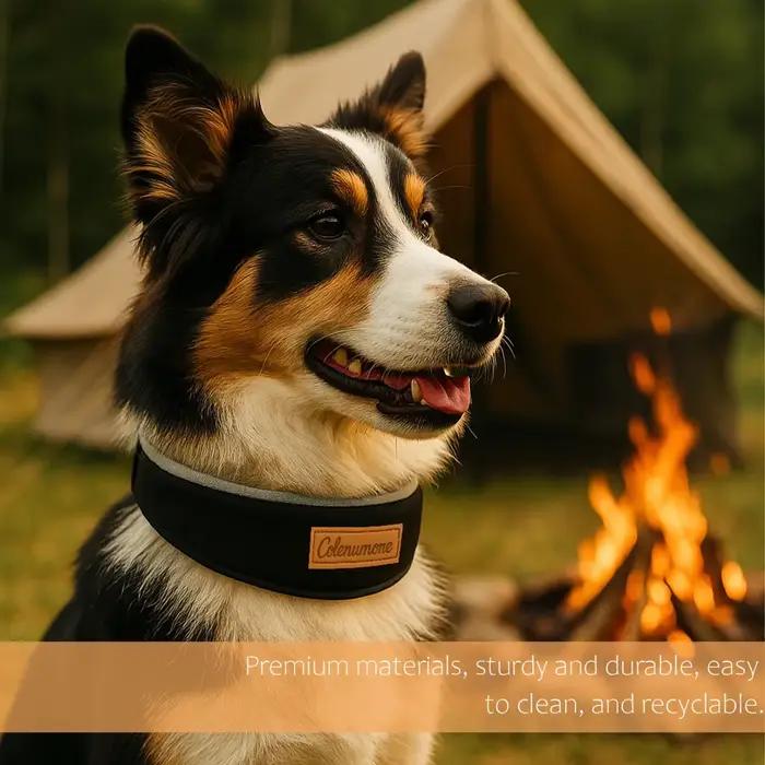 Collier pour chien qui ne s'ajuste pas autour du cou, accessoire de collier, laisse extérieure pour promenades de chiens, taille grande et moyenne
