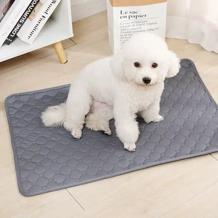 Coussinets d'urine pour chien