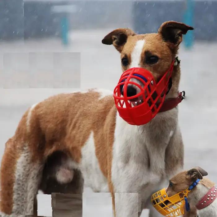Muselière respirante pour chien