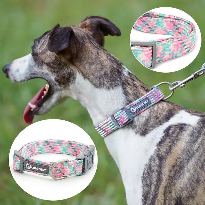 Collier de chien pour chiot moyen et grand