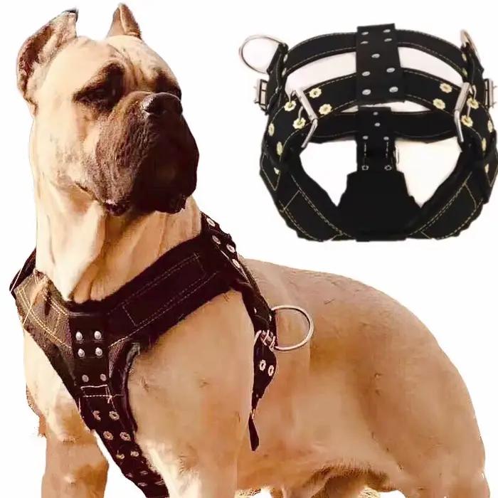 Collier de chien SFP pour grand chien