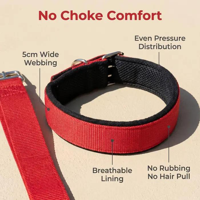 Collier anti-évasion pour chien