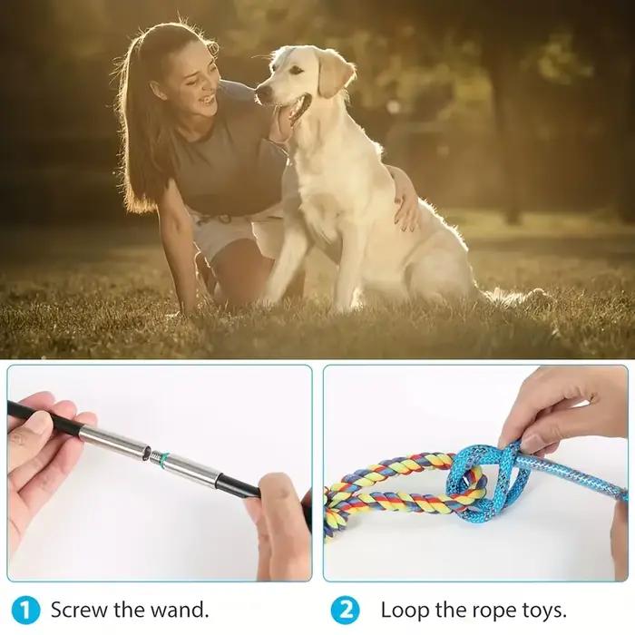 Bâton de dressage et de jeu pour chien