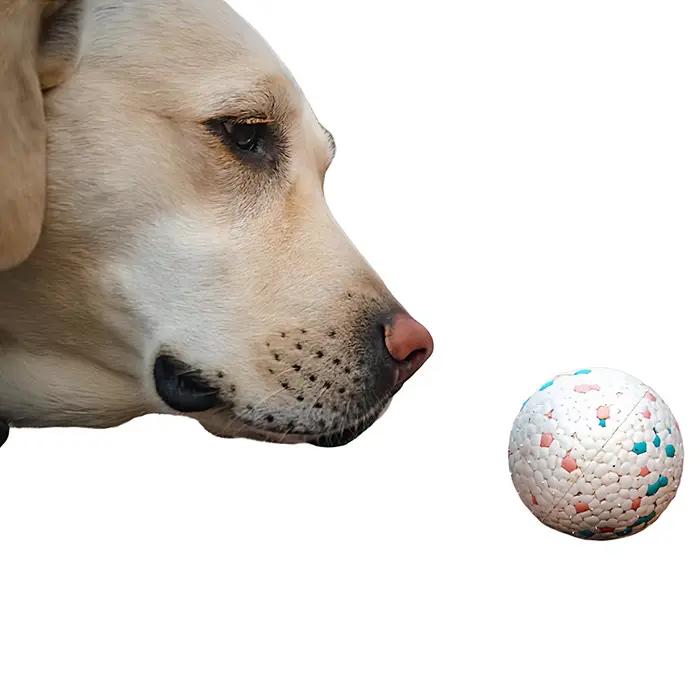 Ballon anti-morsure pour chien ETPU - Haute élasticité