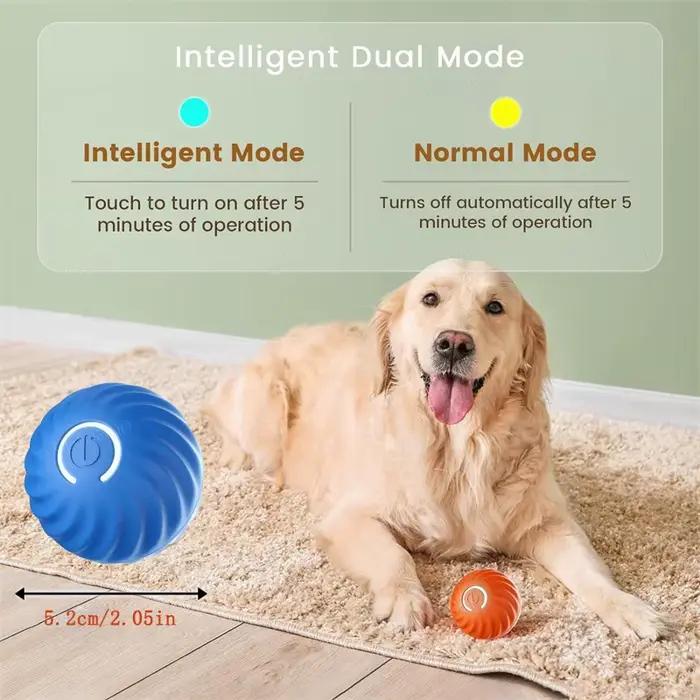 Jouets intelligents pour chiens