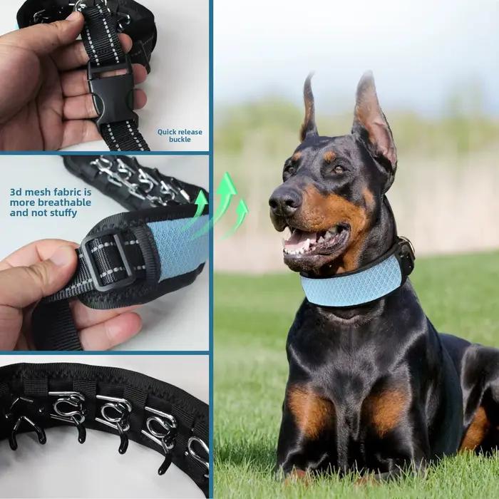 Collier d'entraînement anti-choc pour chien avec barbelures