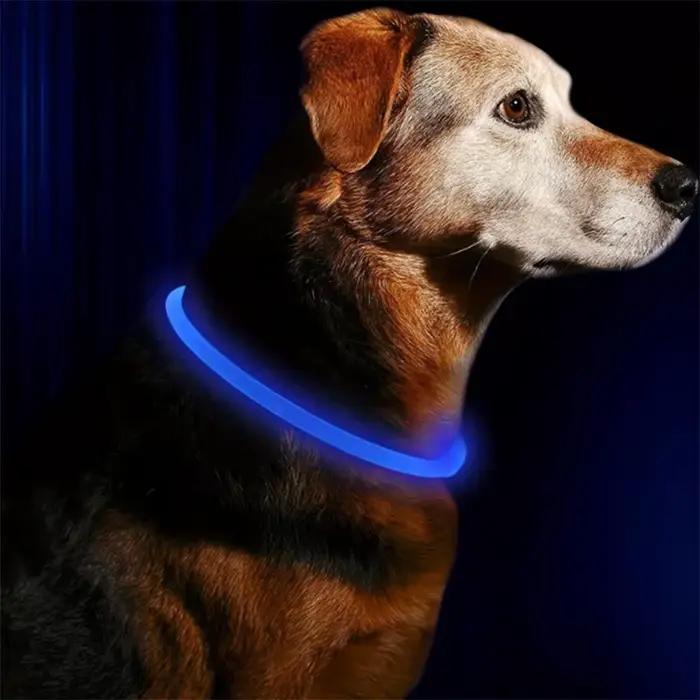 Collier lumineux LED pour chien et chat