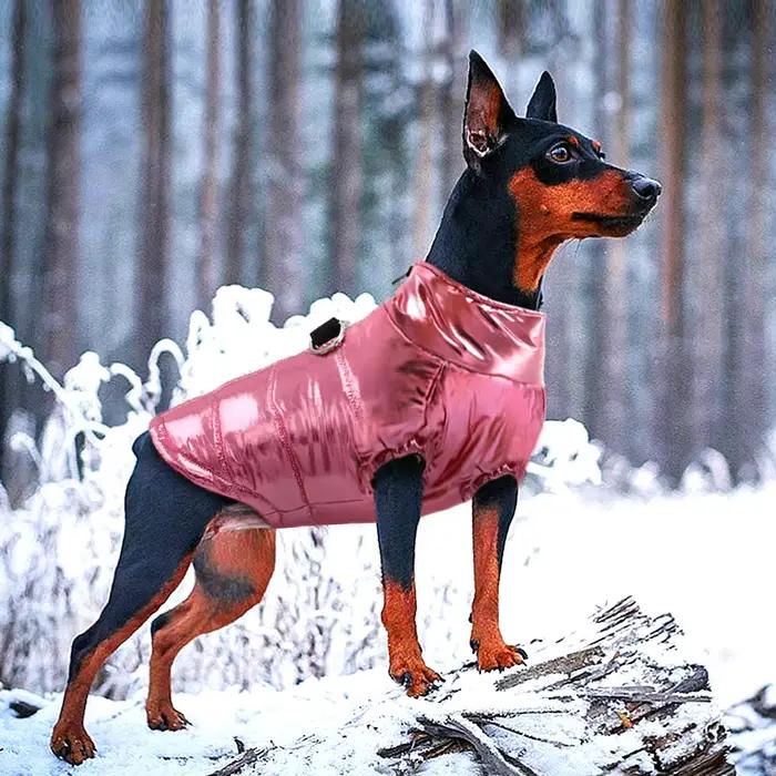Vêtements imperméables pour petits chiens, veste pour chiots et animaux de compagnie, gilet chaud d'hiver, manteau pour Chihuahua bouledogue français