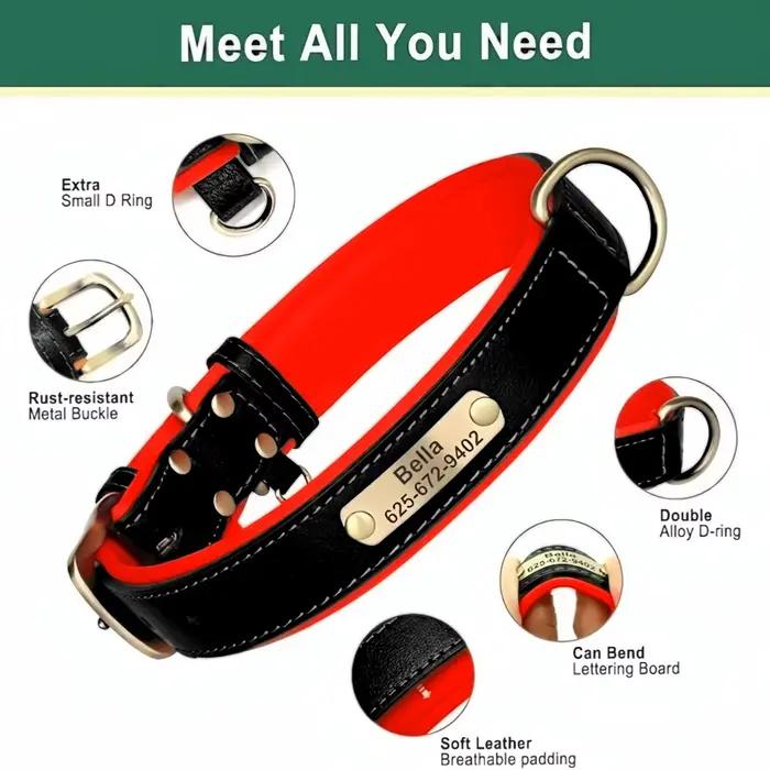 Colliers pour chiens en cuir personnalisables
