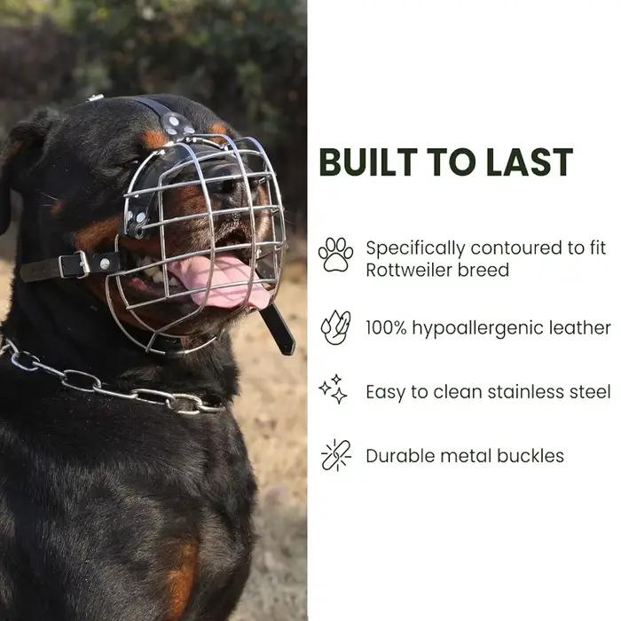 Muselière pour chien réglable et robuste