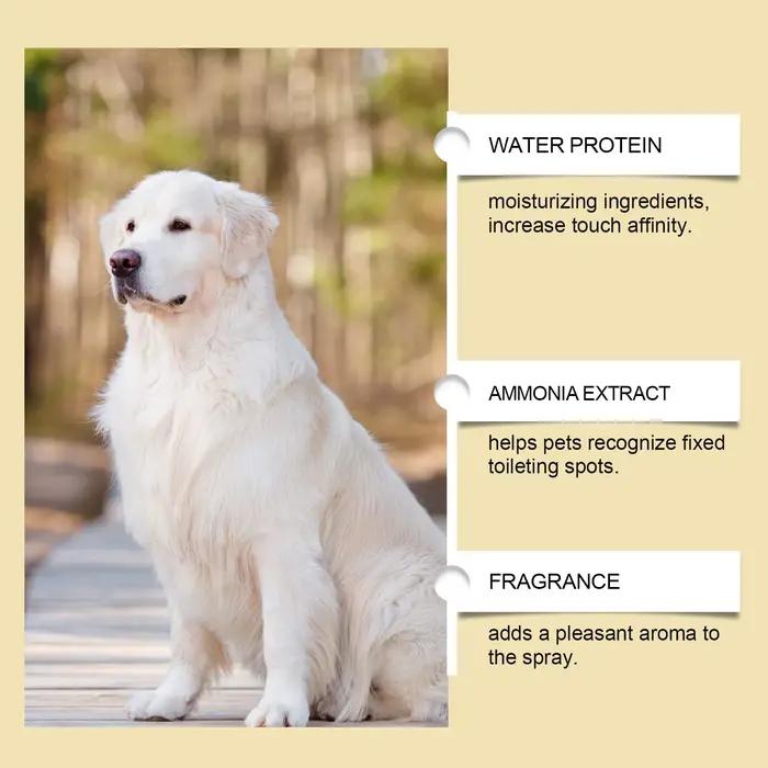 Spray d'entraînement pour pot pour chien