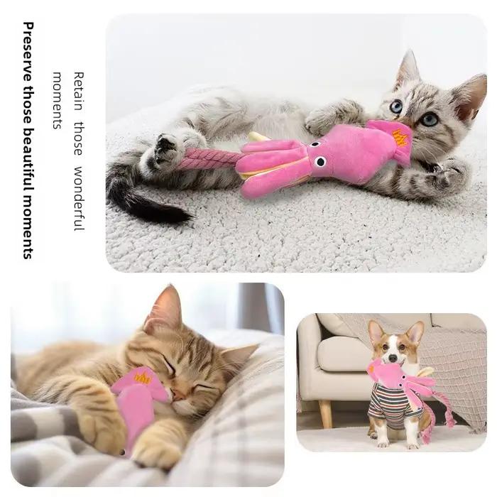 Jouet à mâcher interactif pour chien en peluche pieuvre couineuse avec queue en corde de coton tressée, pour chiot et chien de petite et moyenne taille