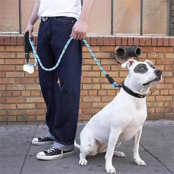 Laisses solides pour chiens