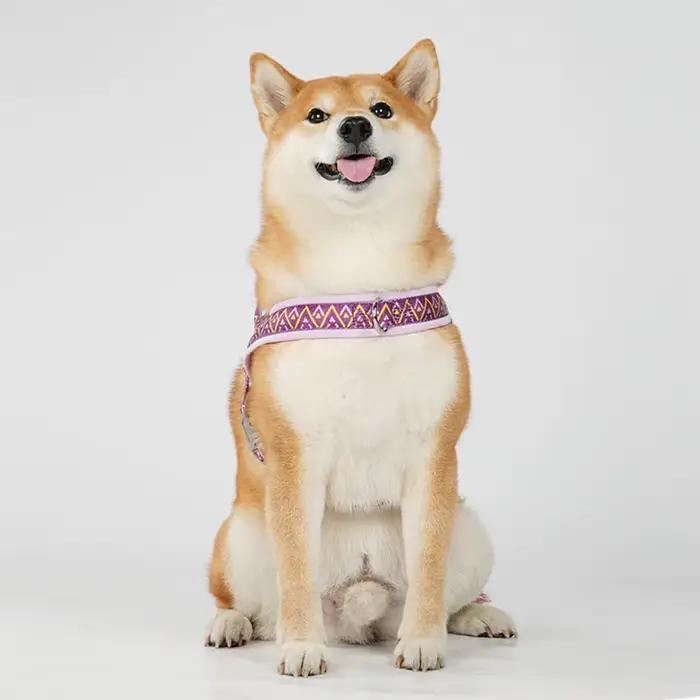 Harnais pour chien selle imprimée à la mode