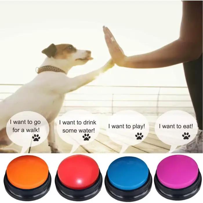 Bouton Statique de Communication pour Chien