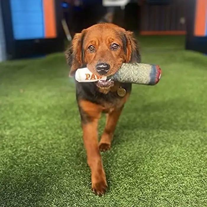 Jouets interactifs amusants pour chiens, conception de cigare, peluche grinçante, grincement des dents, jouet à mâcher créatif pour petits et moyens chiens