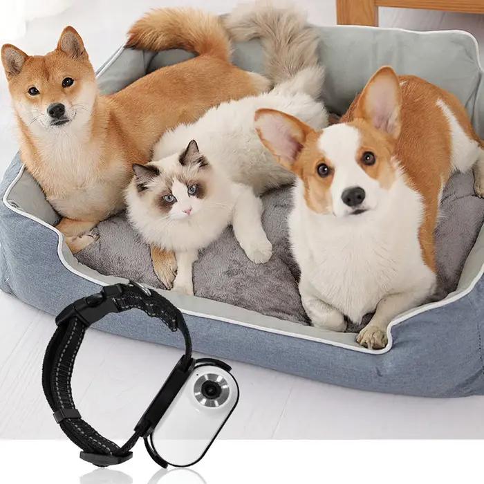 Caméra à collier pour animal de compagnie