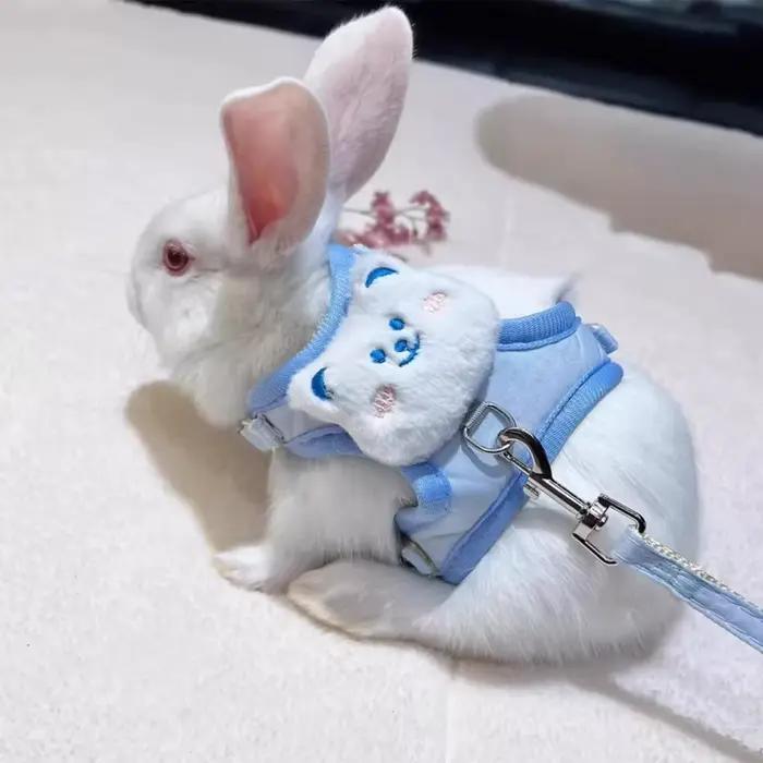 Harnais de traction réglable anti-rupture pour lapins nains aux oreilles tombantes