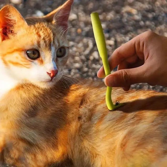 Lot de 3 Pinces à tiques et puces pour animaux de compagnie (chats et chiens)