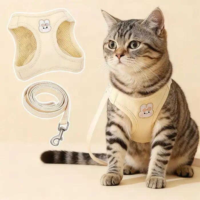 Ensemble harnais et laisse chic pour chaton - Design tendance