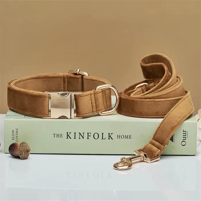 Collier pour chien, anneau de cou pour chat