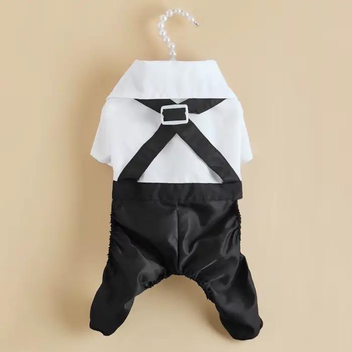 Vêtements pour petits chiens