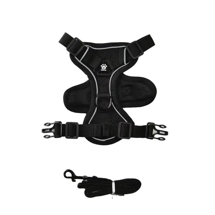 Ensemble de laisse harnais pour chien