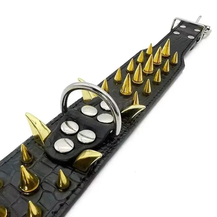 Ensemble collier et laisse pour chien à pointes
