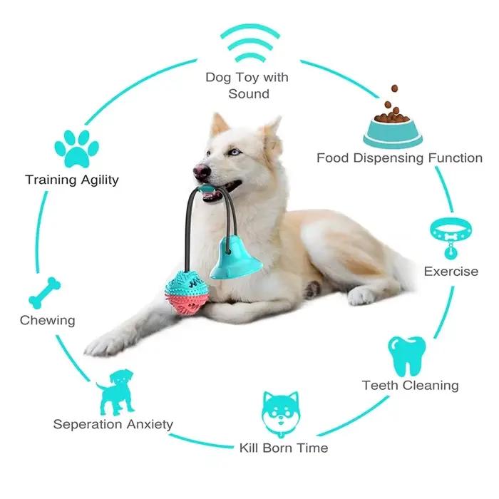 Jouet à mâcher coule avec ventouse pour chien