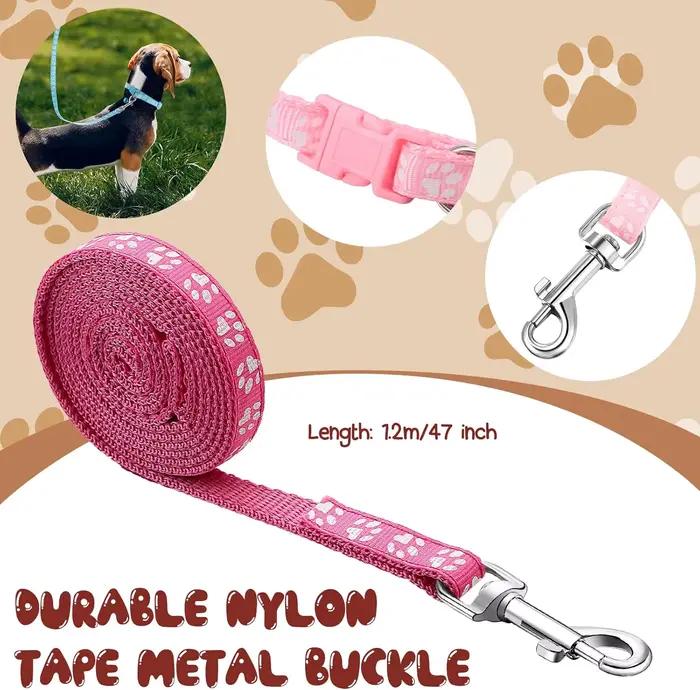 Lot de 24 colliers et laisses pour chien