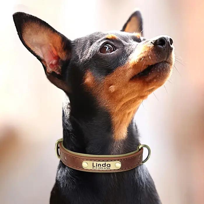 Collier de chien personnalisé en cuir