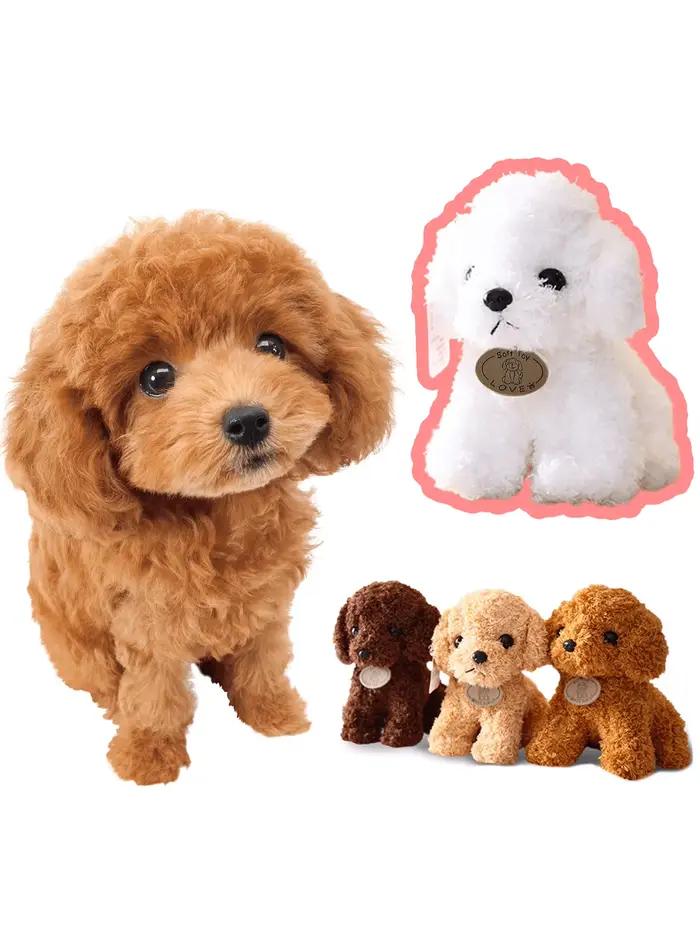 Jouet en peluche pour chien