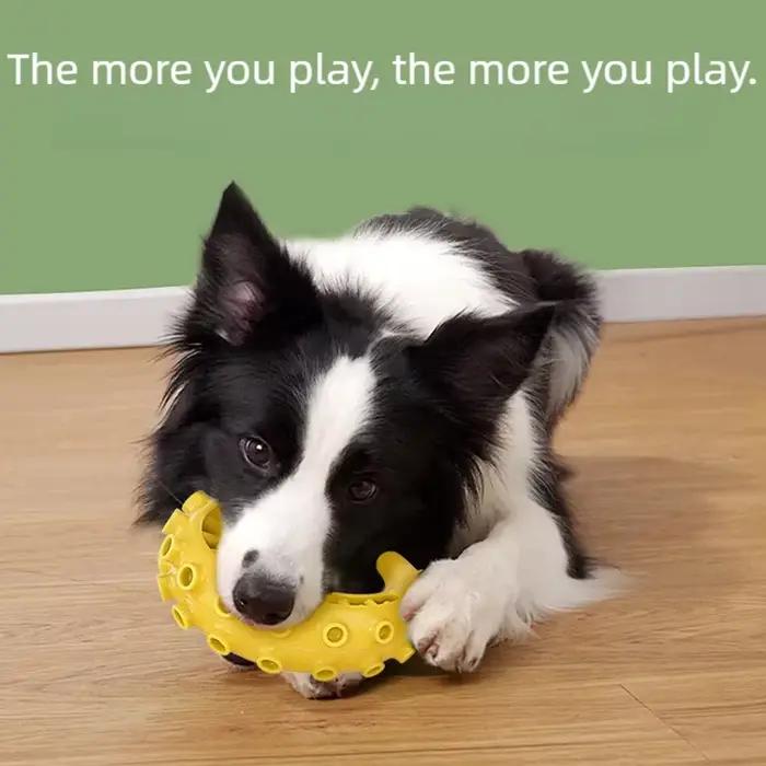 Jouets pour chiens TPR pour chiens de petite et moyenne taille