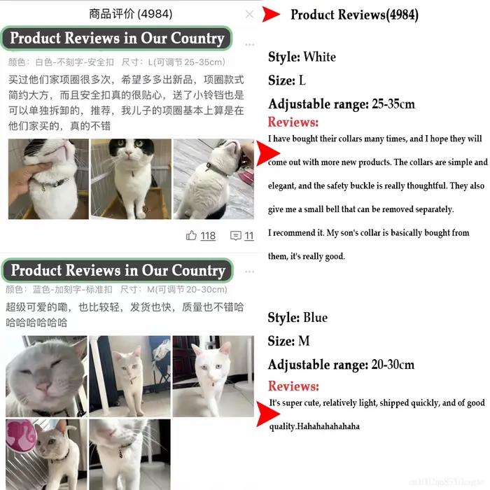 Collier pour chat personnalisé