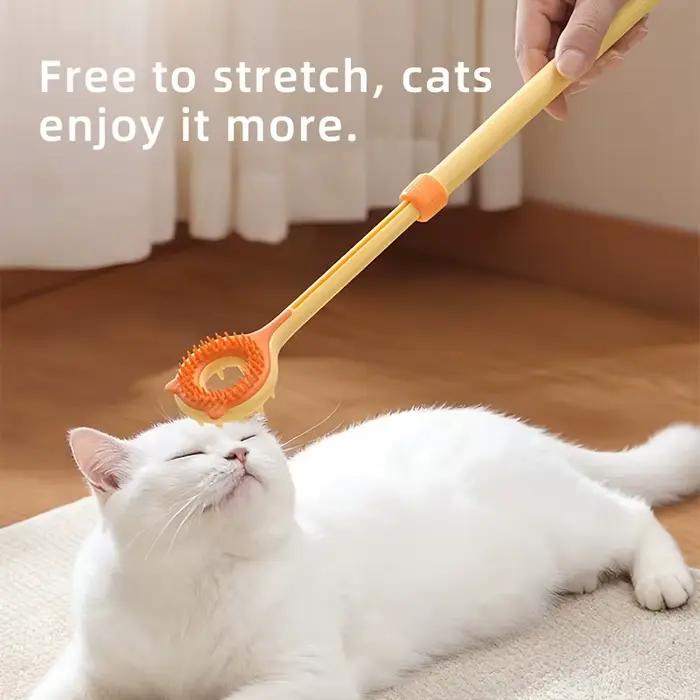 2 en 1 : Grattoir rétractable pour chat, masseur double face, baguette interactive pour chat, jouet pour chaton, pour le toilettage et le soulagement des démangeaisons