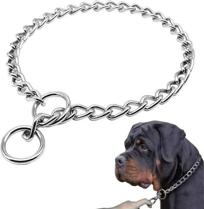 Collier de dressage sans soudure en acier inoxydable 304 pour chien