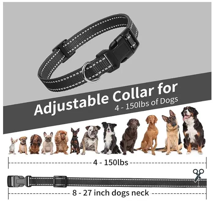 Sangle de remplacement pour collier de chien